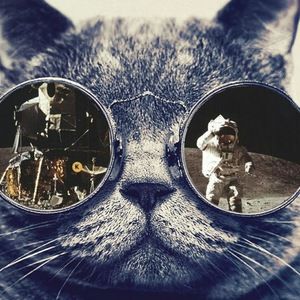 Meet your Posher, Cameron